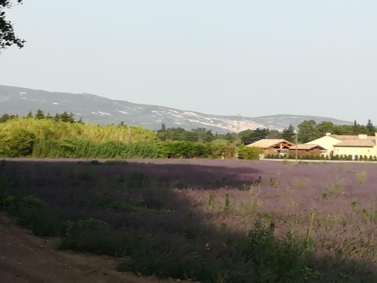 勒托尔Au Pays Du Ventoux住宿加早餐旅馆 外观 照片