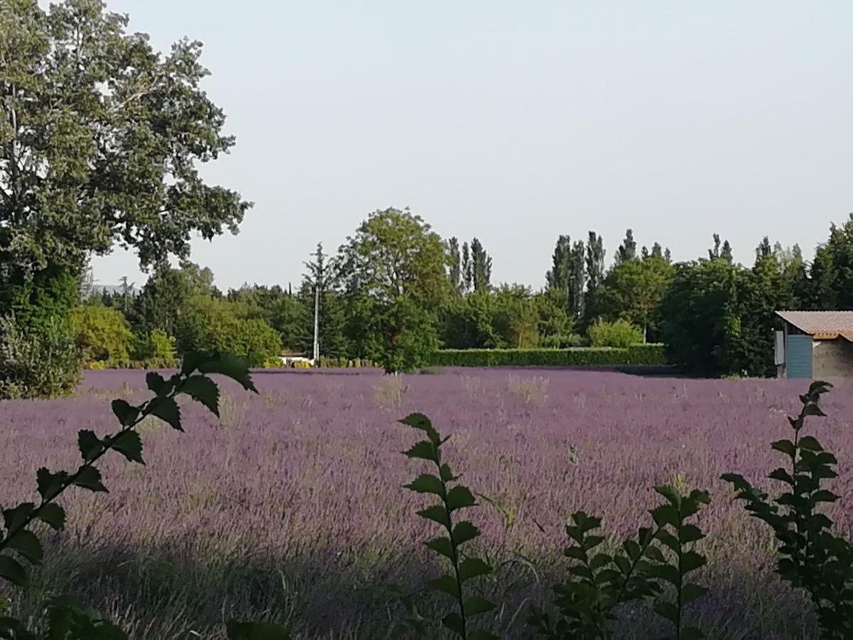 勒托尔Au Pays Du Ventoux住宿加早餐旅馆 外观 照片