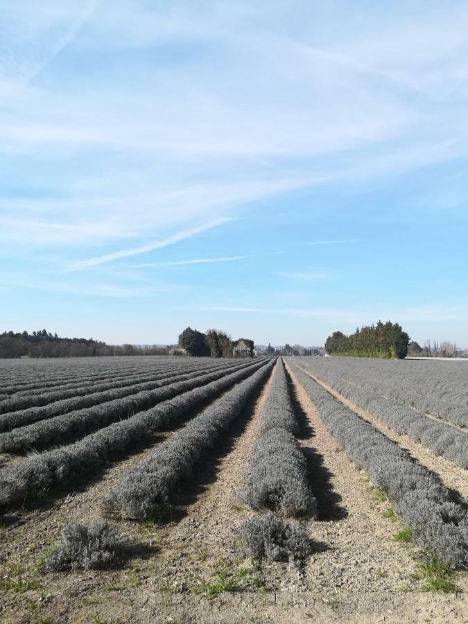 勒托尔Au Pays Du Ventoux住宿加早餐旅馆 外观 照片